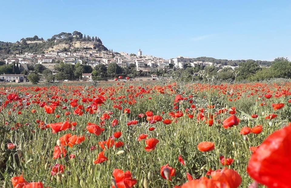 L'Amanderaie Piscine Privee A Cote De Lourmarin Luberon Διαμέρισμα Cadenet Εξωτερικό φωτογραφία